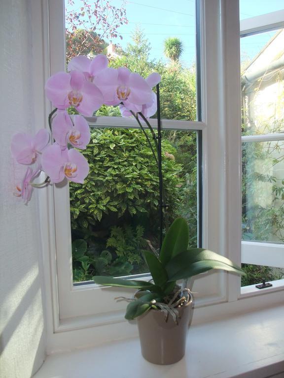 The Fernery B&B Lynton Habitación foto